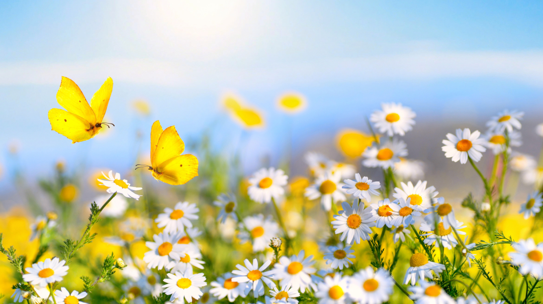 
Notice: Undefined variable: design_ideasRecord in /home/s2shost/public_html/sites/hh/stories/post.php on line 151
