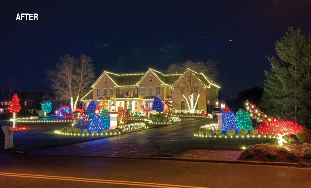 We Hang Holiday Lights