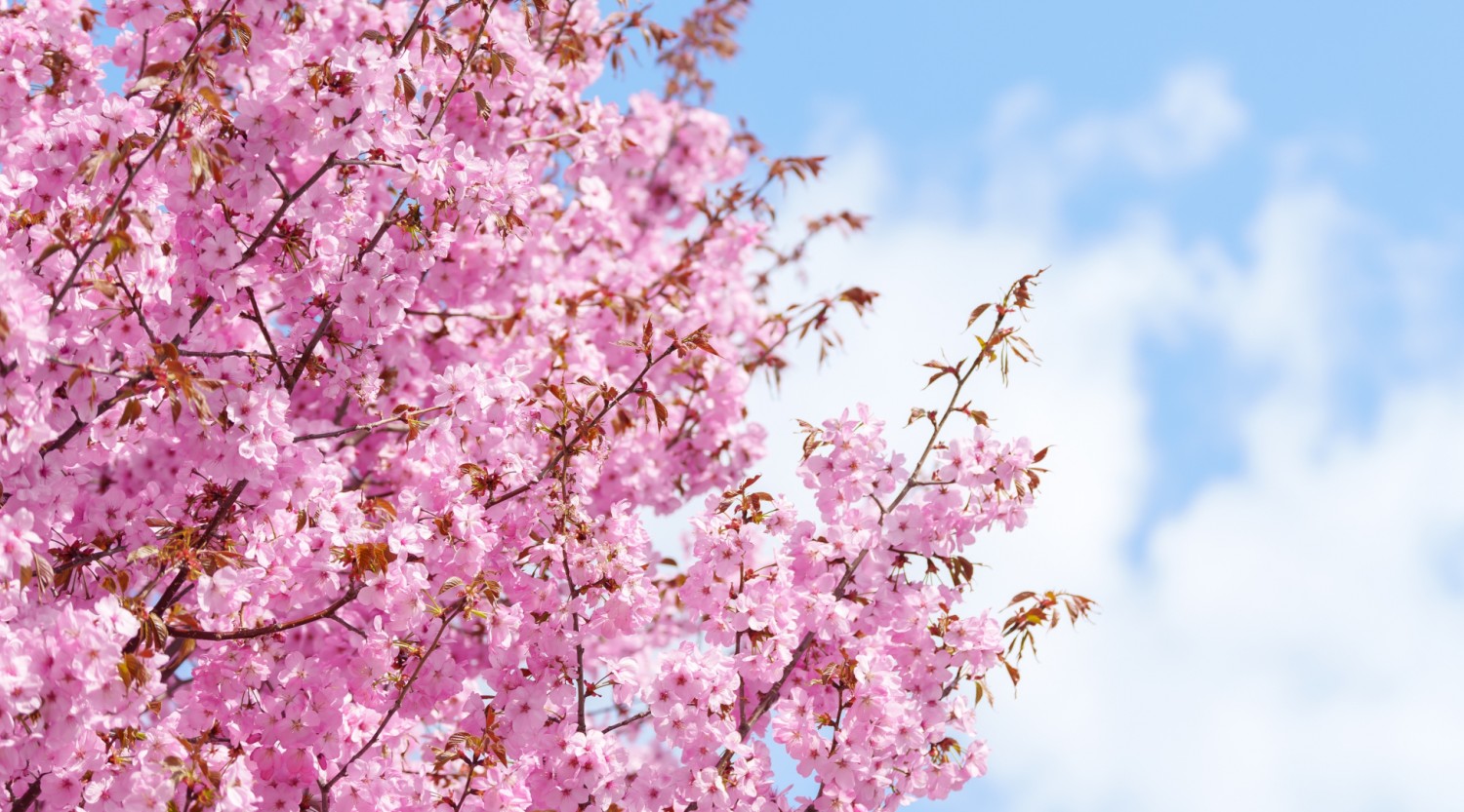 Pennsylvania/Delaware Landscape Directory 2026